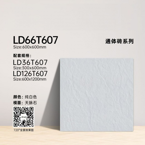 MS66T607 Full body floor tiles
