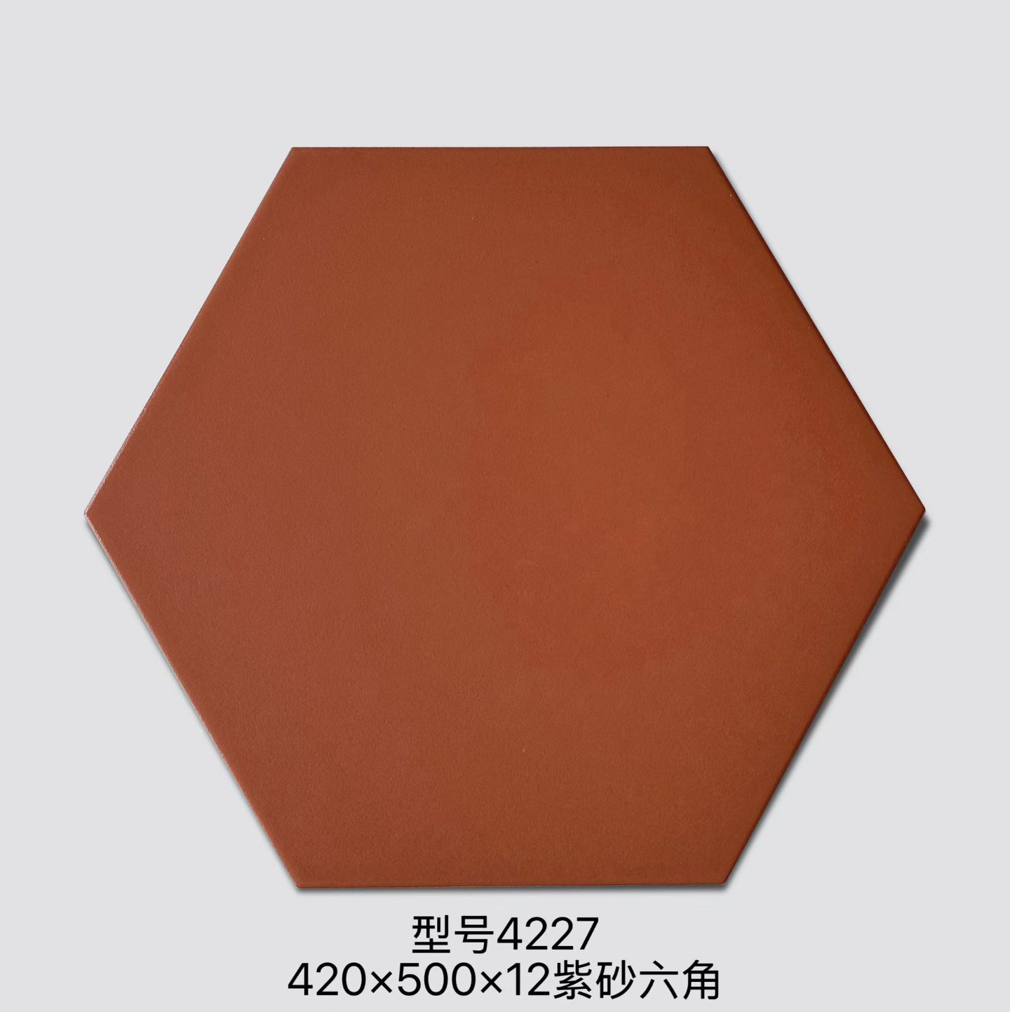 4227 Hexagonal terracotta floor tile