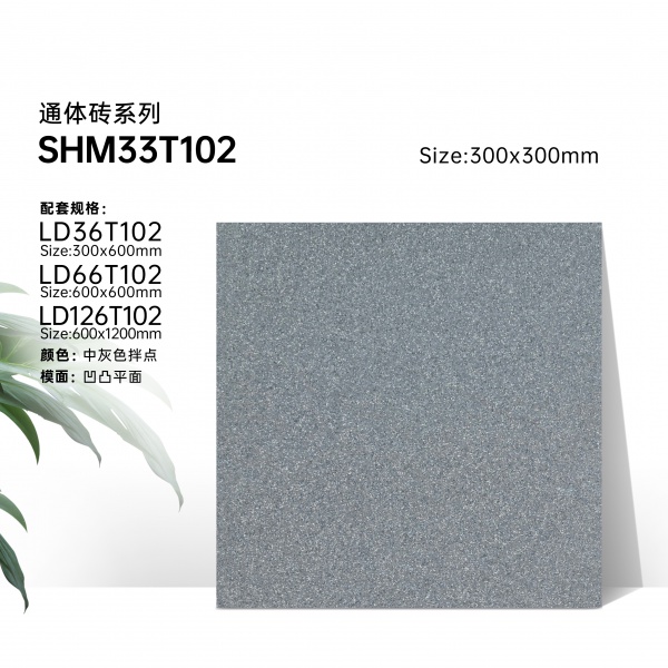 33T102  Full Body Porcelain Tile,Anti-slip Floor Tile for Outdoor & Indoor