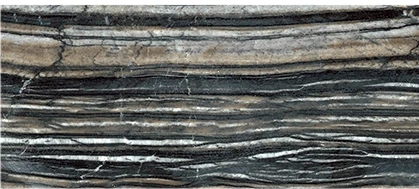 Black Forest High Polished White Marble for Kitchen Countertops & Flooring