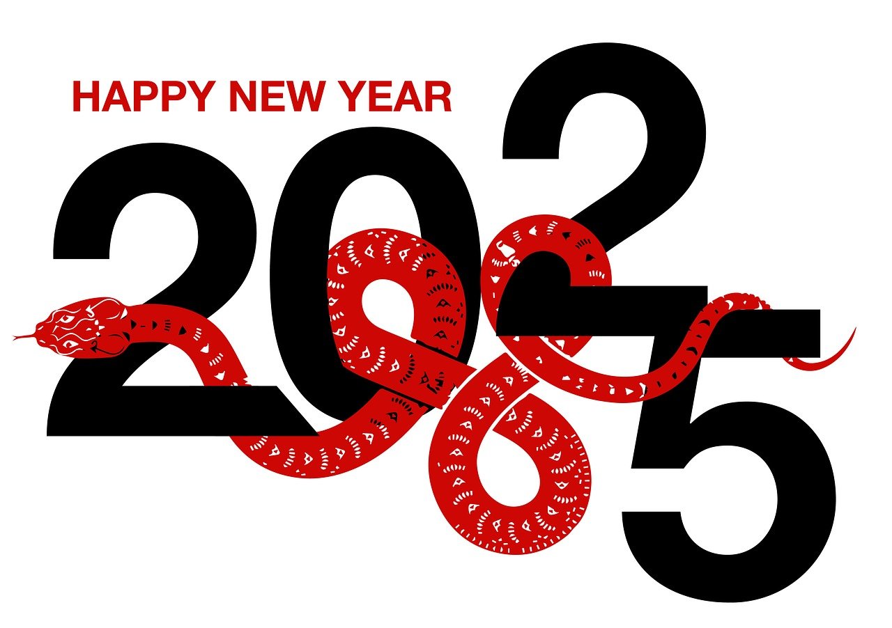 The New Year brings new prospects; let's celebrate the New Year's Day together with joy