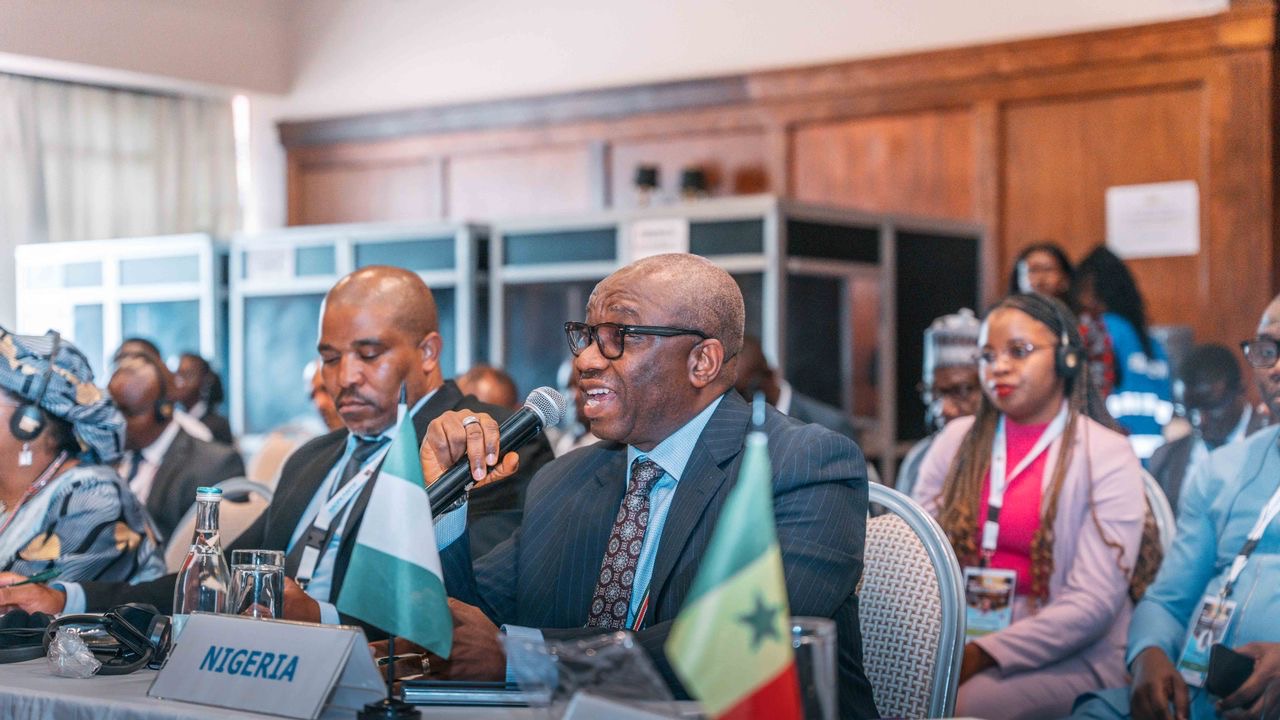 IOM Nigeria Tender for Bauchi & Sokoto Projects