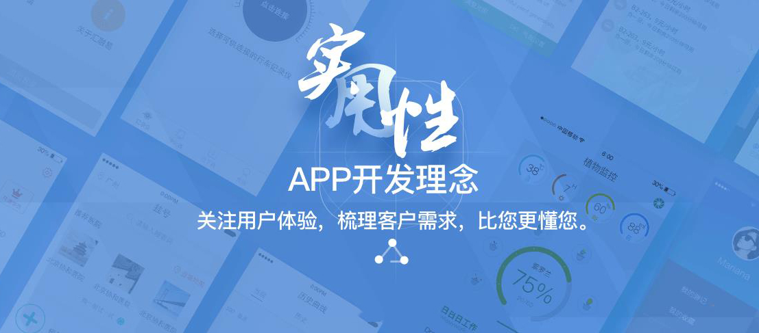 APP定制开发