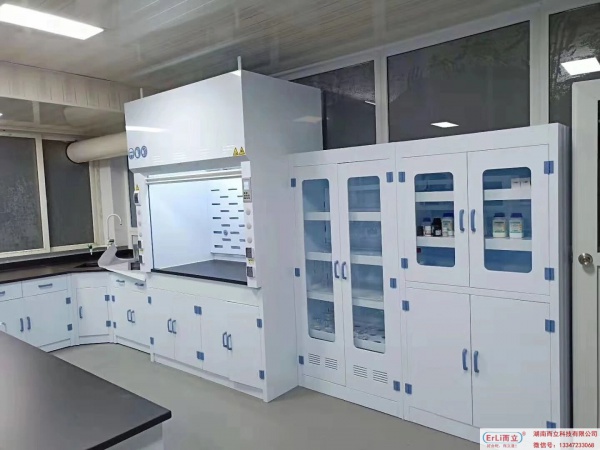3868la银河总站牌PP通风柜+器皿柜+试剂柜+边台