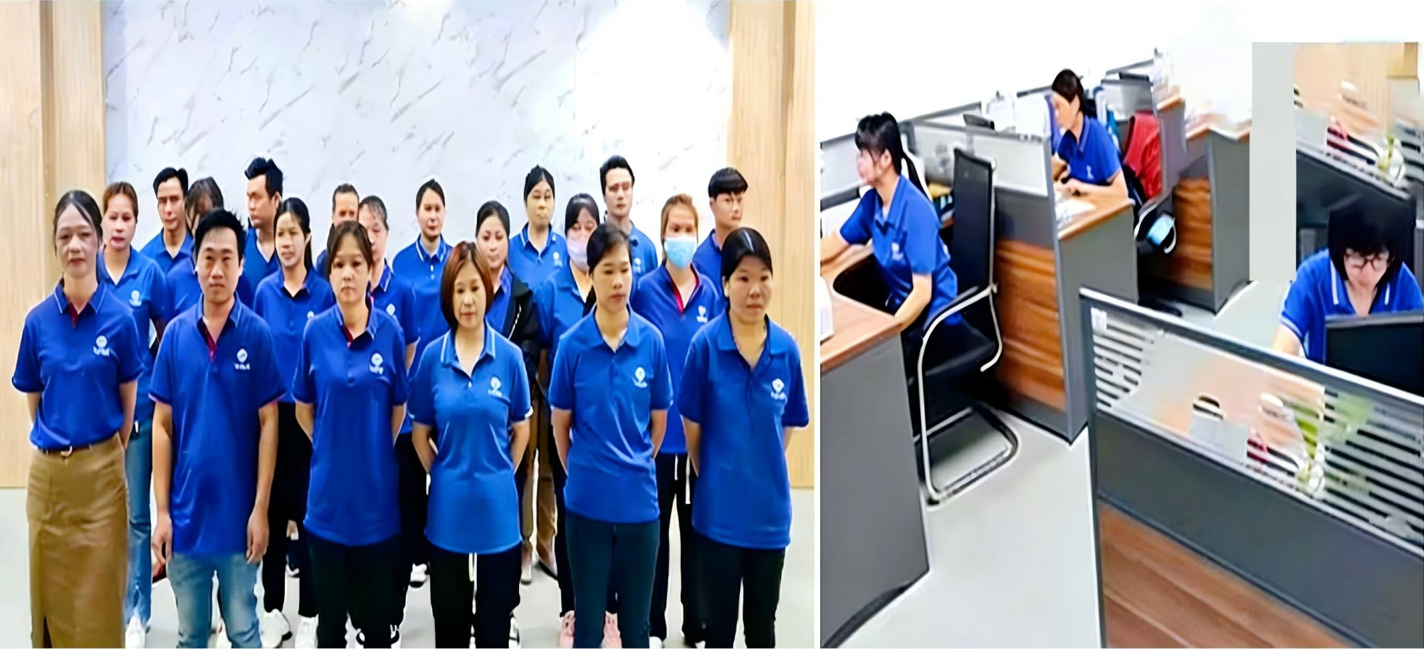 Team members