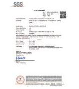 SGS Test Report