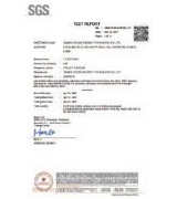 SGS Test Report