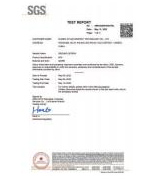 SGS Test Report