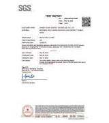 SGS Test Report