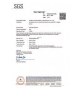 SGS Test Report