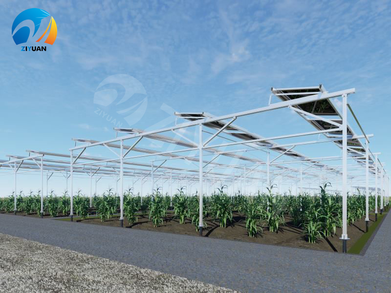 Agricultural solar mounting structures 01