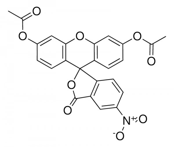 5-硝基荧光素二乙酸酯