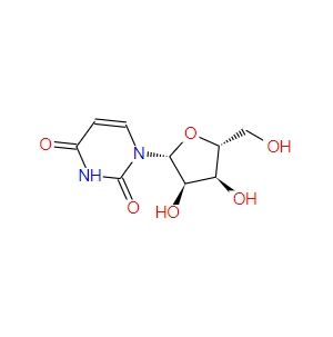 尿苷Uridine