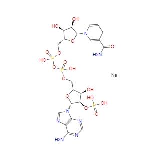 烟酰胺腺嘌呤二核苷酸磷酸（还原型）NADPH
