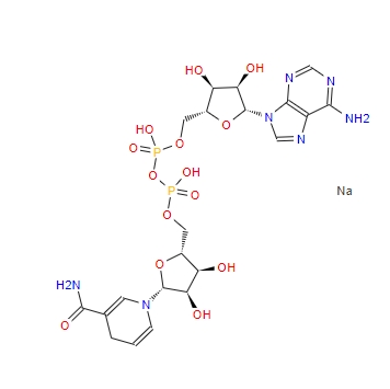 β-烟酰胺腺嘌呤二核苷酸二钠/还原型辅酶I（NADH）