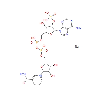 β-烟酰胺腺嘌呤二核苷酸磷酸（NADP）
