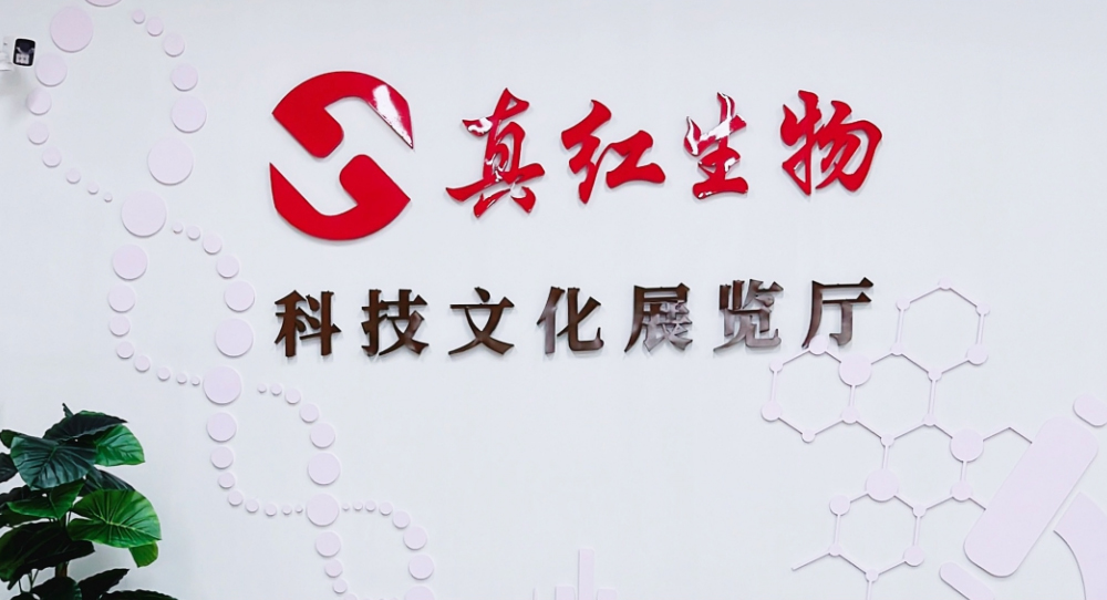 图片展示