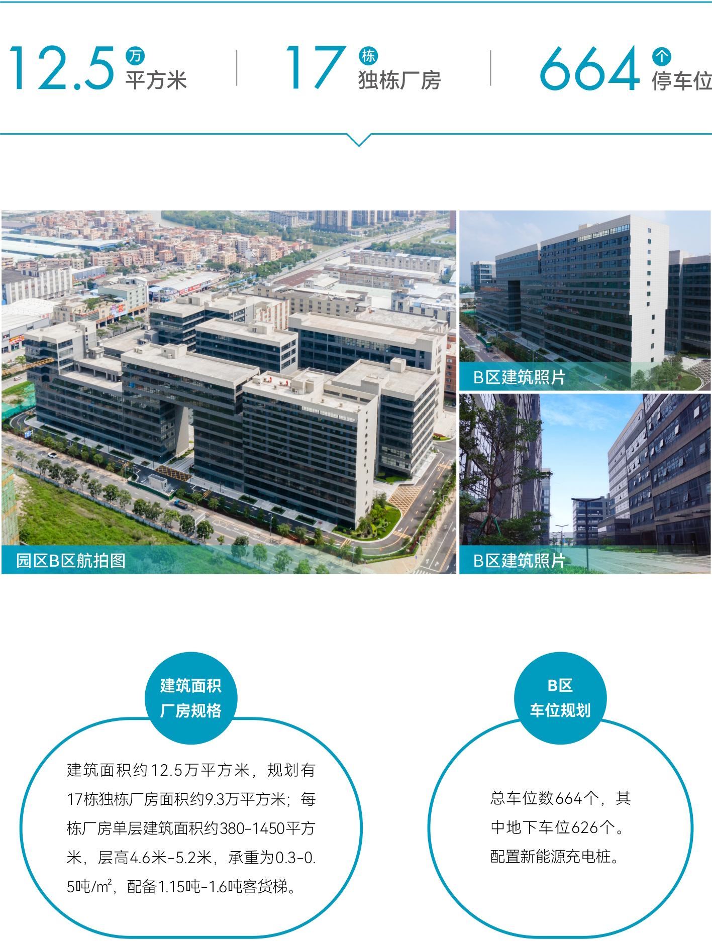 图片展示