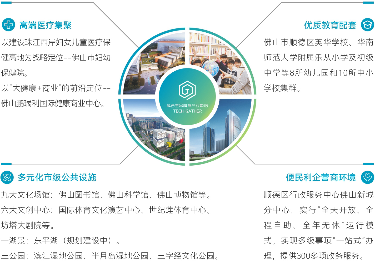 图片展示
