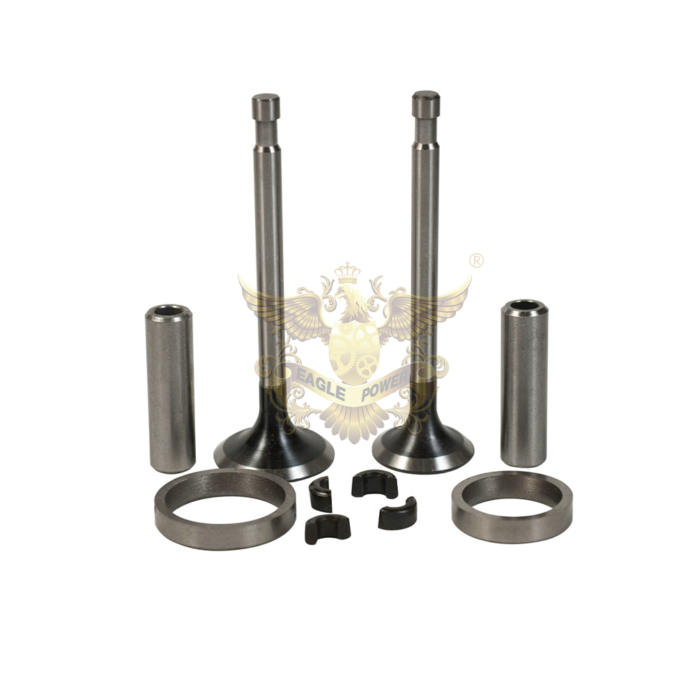 VALVE ASSY 000348