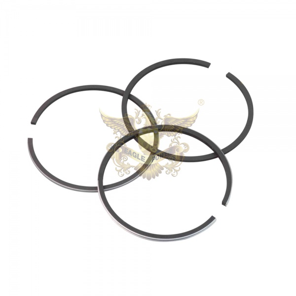  PISTON RING(NPR TYPE) 000202