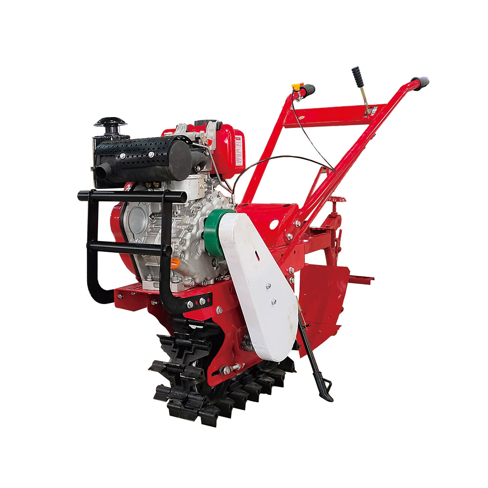 CHAIN TILLER 173F DIESEL ENGINE