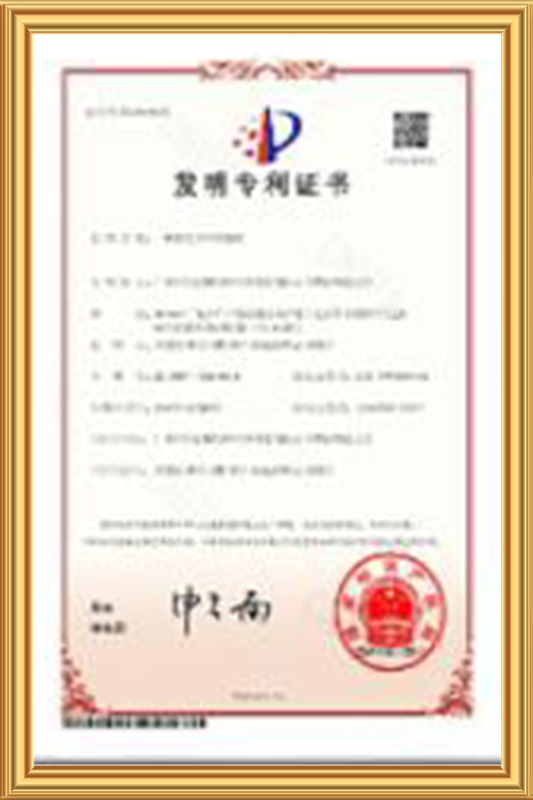 发明专利01