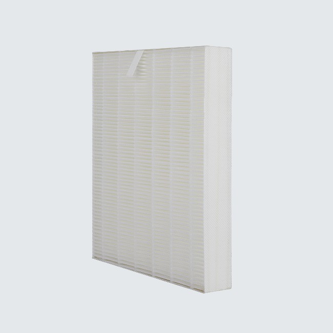 High-Efficiency HEPA Filter