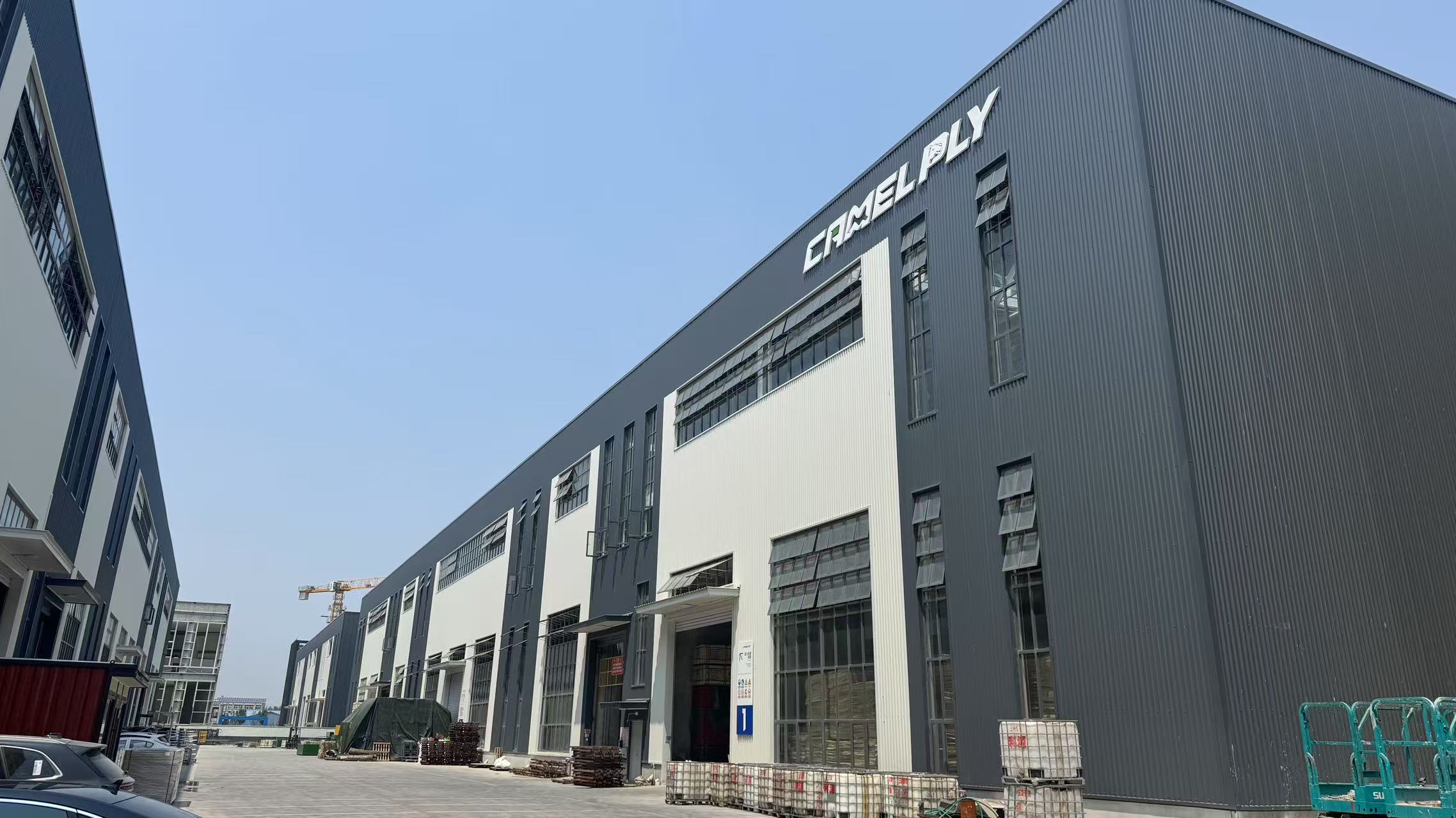 图片展示