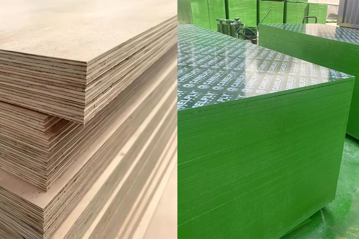 Film Faced Plywood vs Marine Plywood: Which One Is Better?