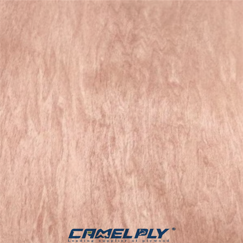 BINTANGOR PLYWOOD