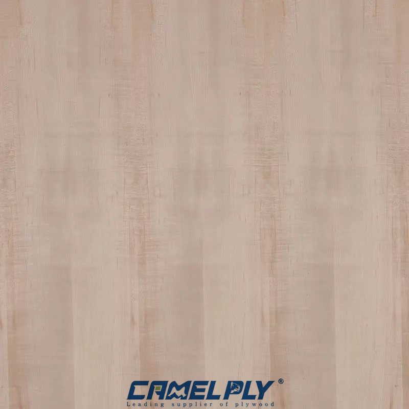 NATURE AMERICAN MAPLE PLY/MDF