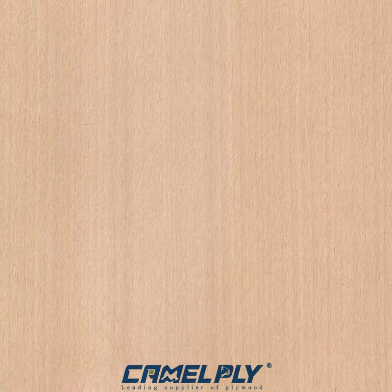 STEAM BEECH PLY/MDF