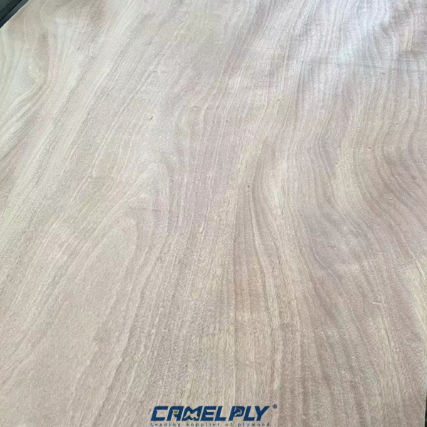 OKOUME PACKING PLY