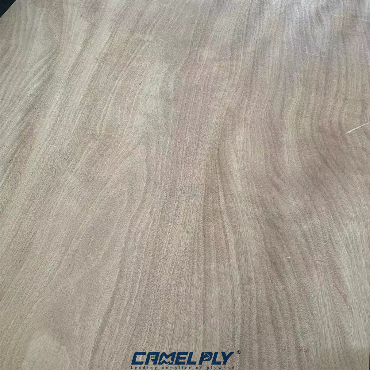 OKOUME PACKING PLY