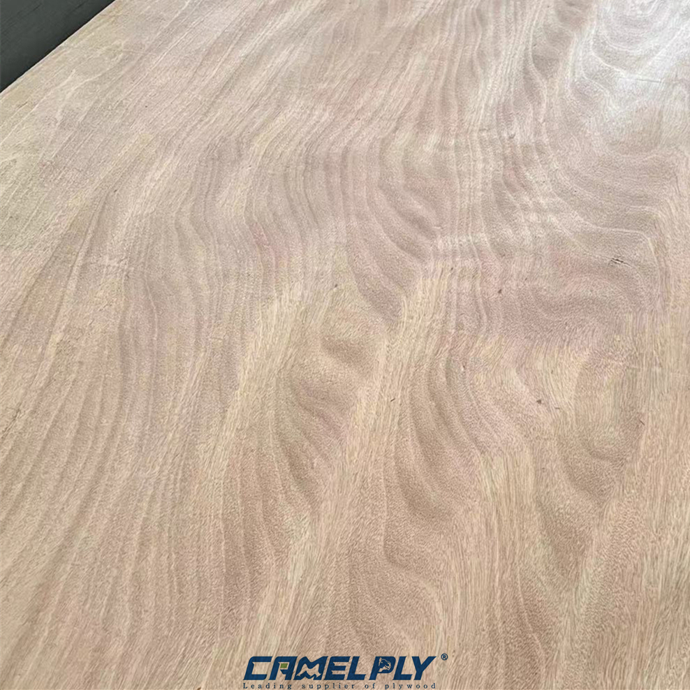OKOUME PACKING PLY