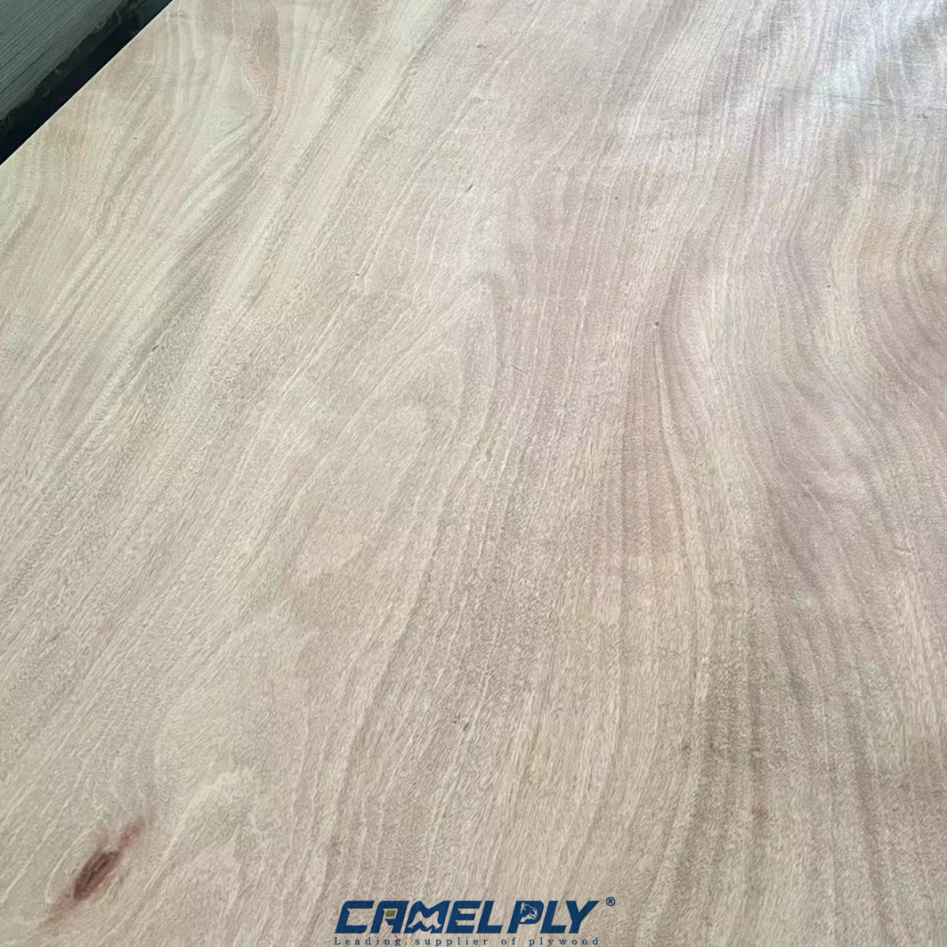 OKOUME PACKING PLY