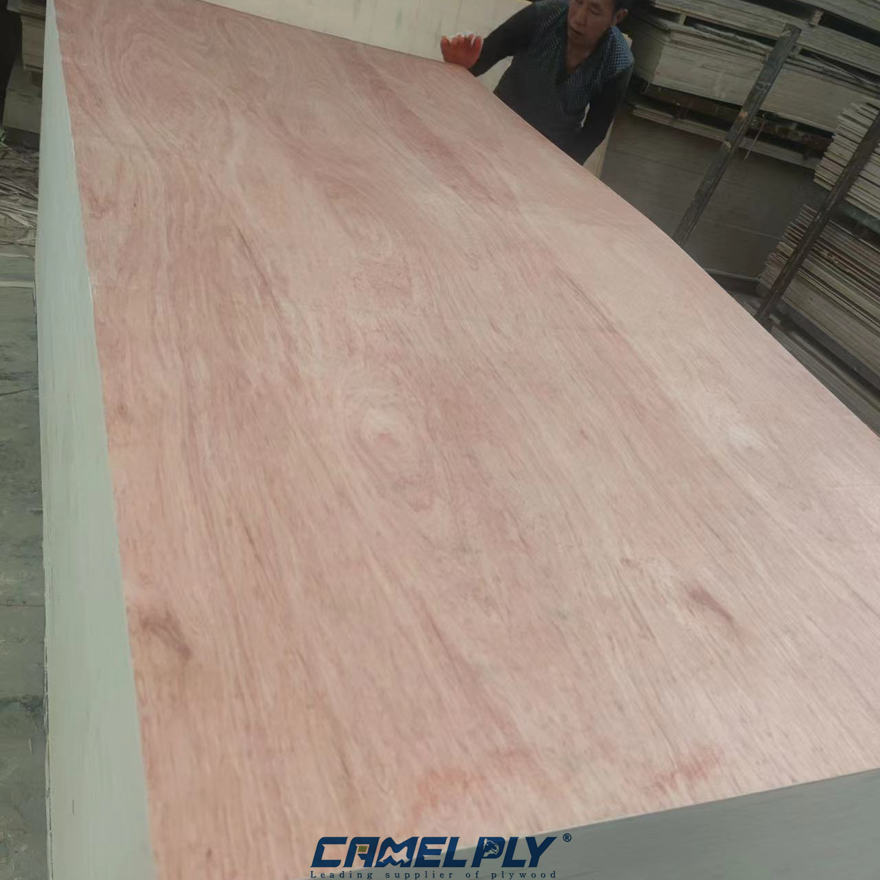 BINTANGOR PLYWOOD