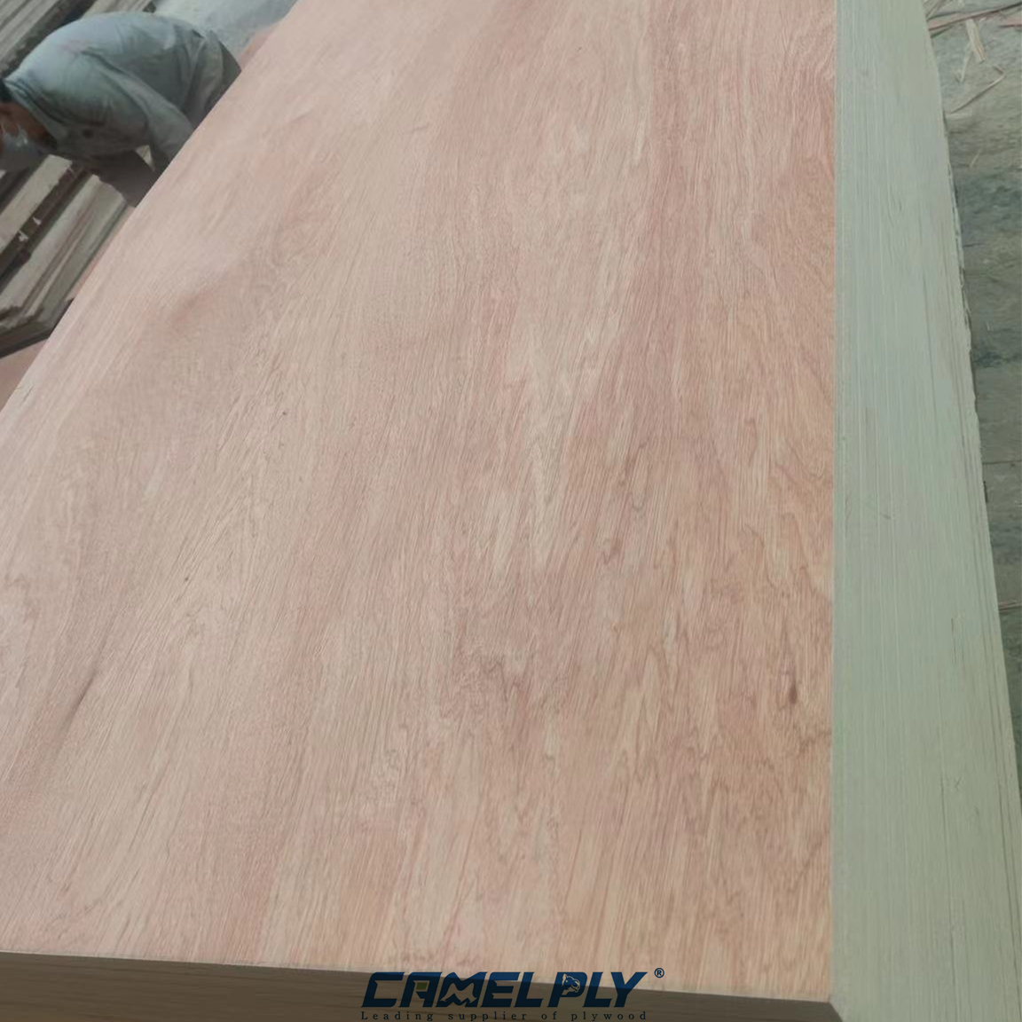 BINTANGOR PLYWOOD
