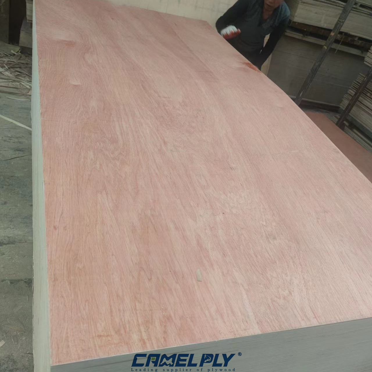 BINTANGOR PLYWOOD
