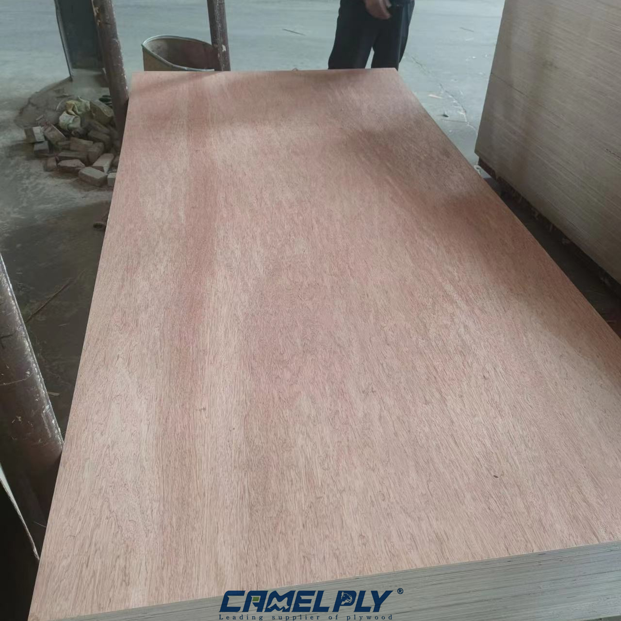 BINTANGOR PLYWOOD