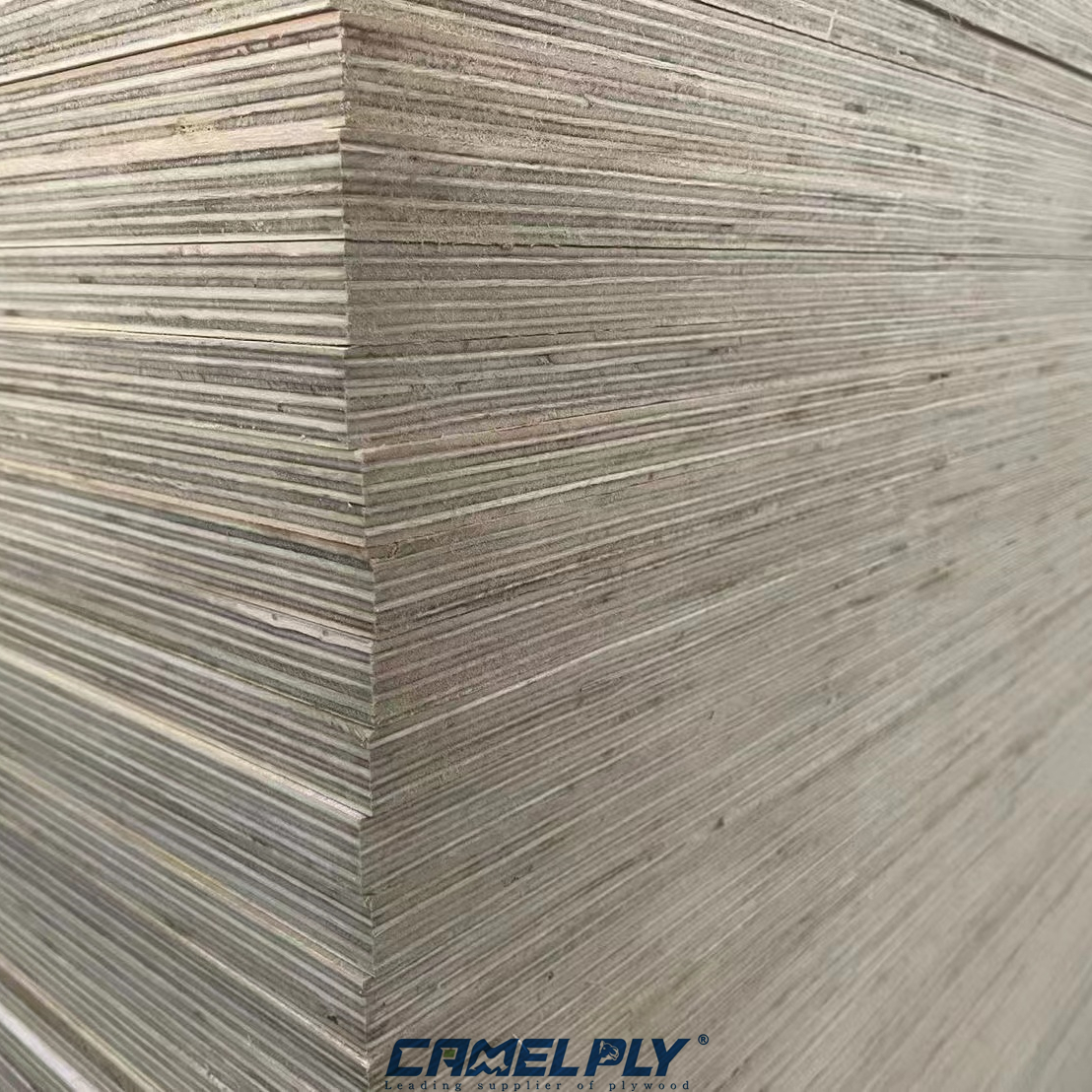 OKOUME STRUCTURAL PLY