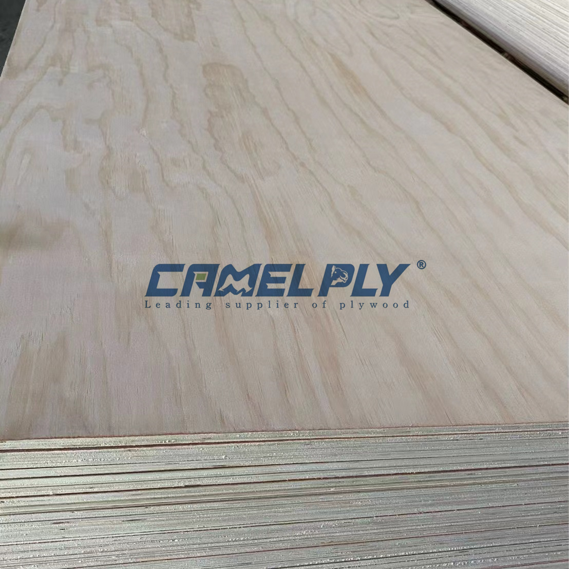 PINE PLYWOOD