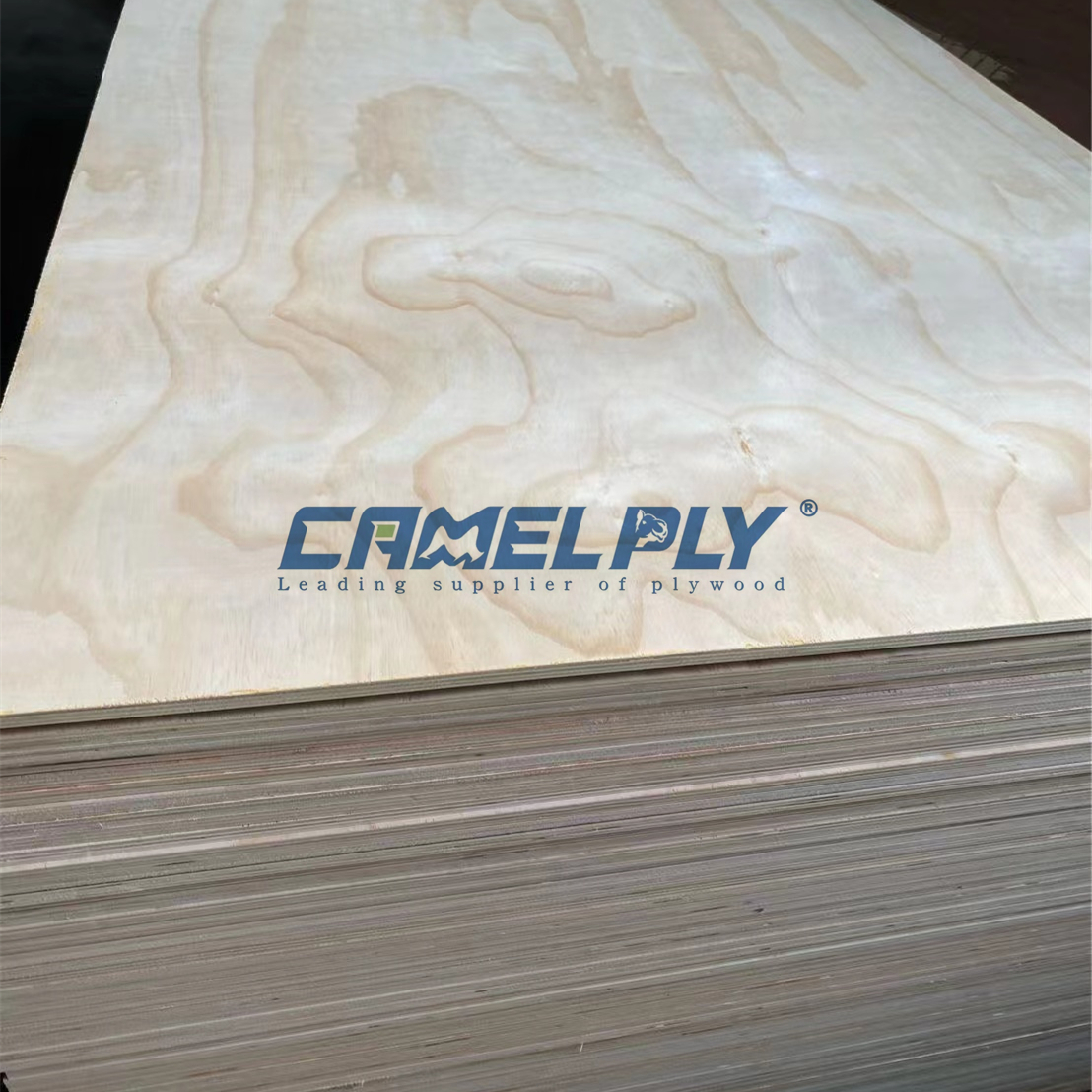 PINE PLYWOOD