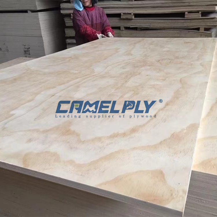 PINE PLYWOOD