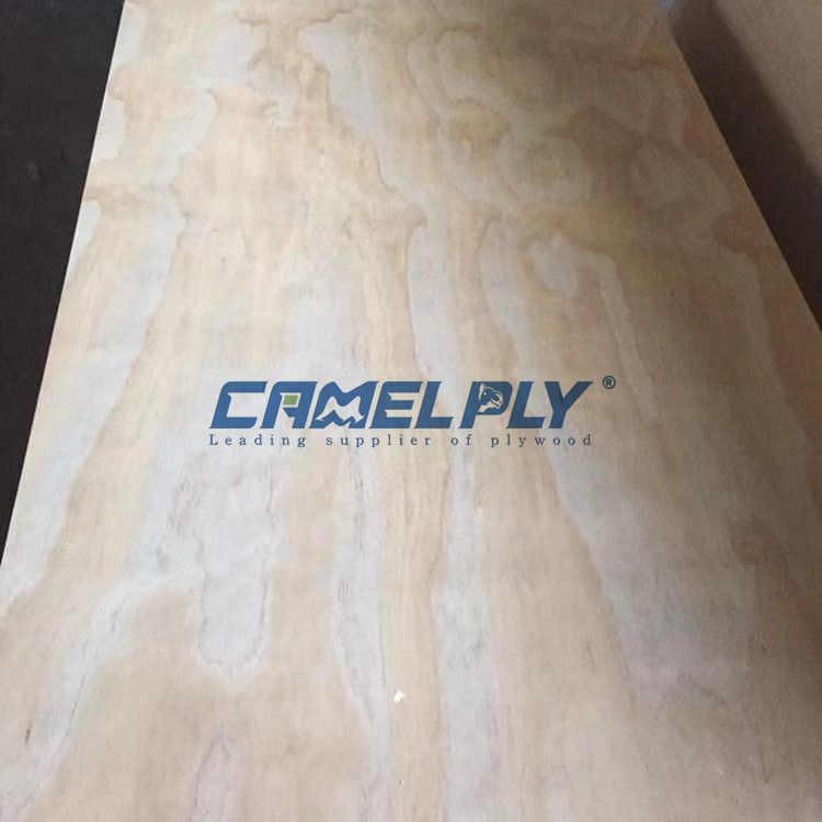 PINE PLYWOOD