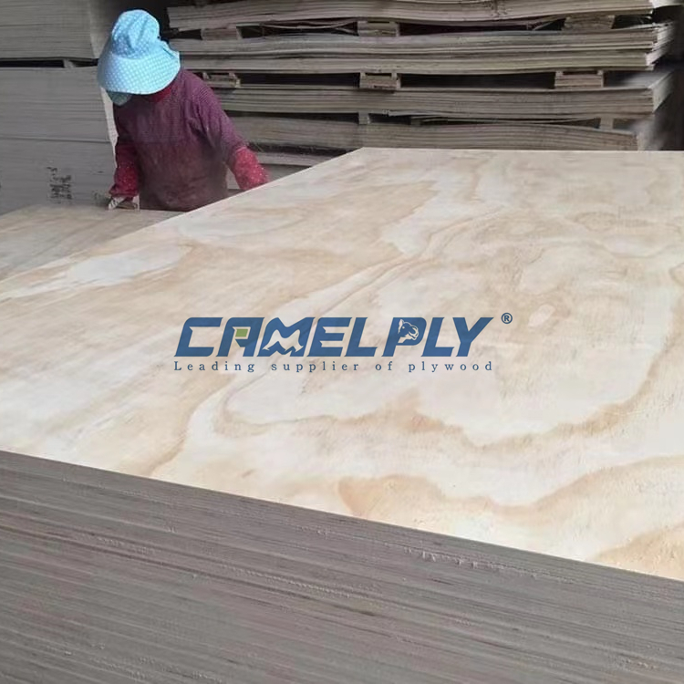 PINE PLYWOOD