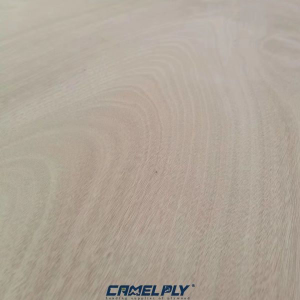 OKOUME DECORATION PLY