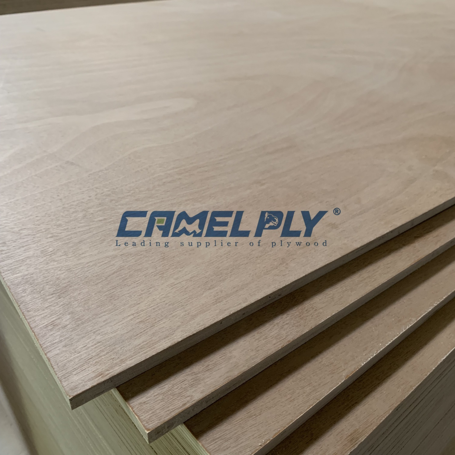 OKOUME DECORATION PLY