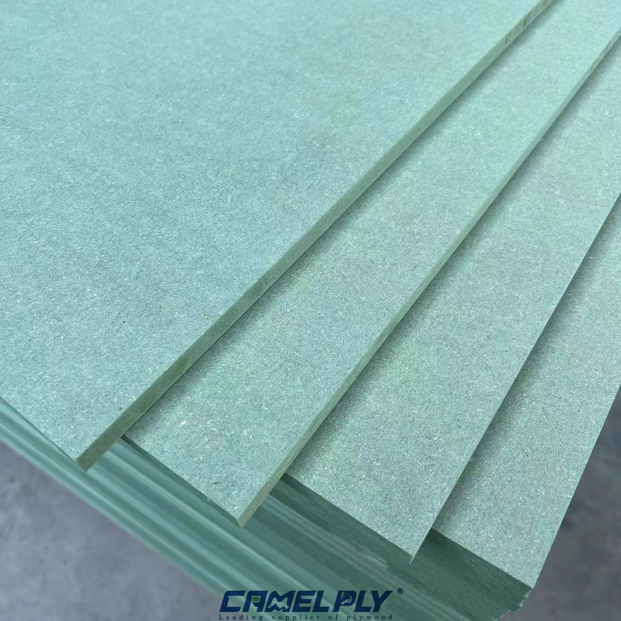 M.R（GREEN） MDF